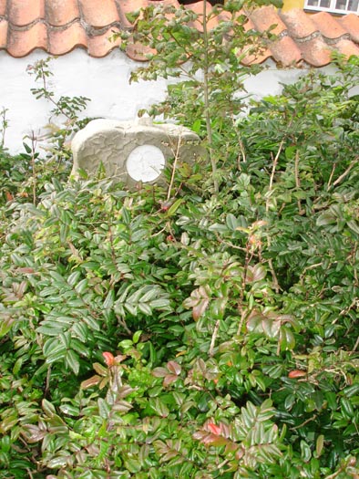 DSC03431